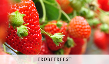 Vecura Domizil Brandit Veranstaltungen 005